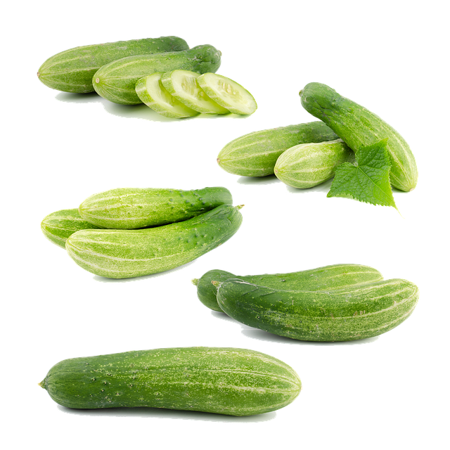 organic cucumbers fresh harvested no people crisp green produce